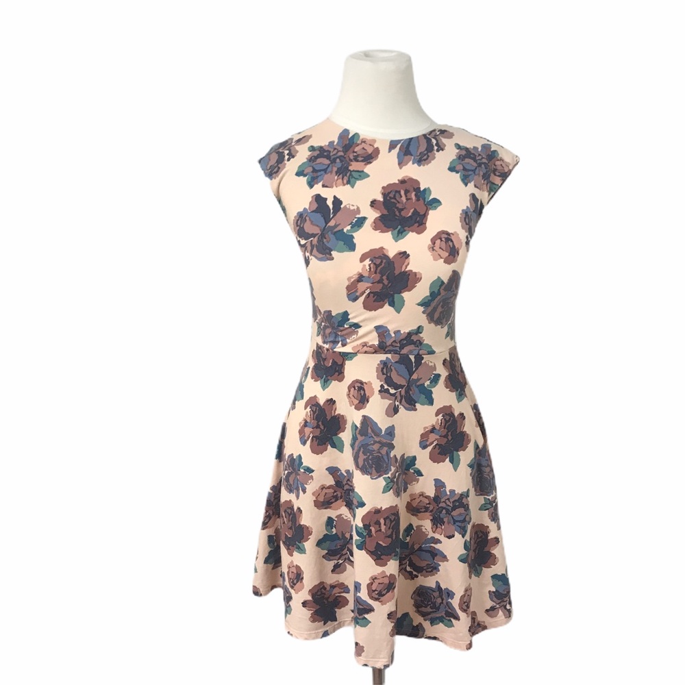 Aritzia Talula Floral Palmetto Skater Mini Dress